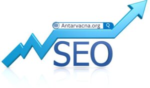 seo tips